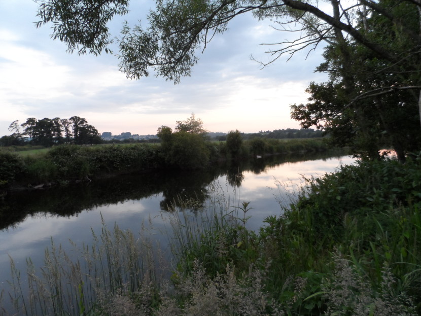 Late evening and quiet water on the Towy
